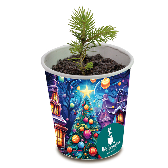 Weihnachtsbaum To-Go