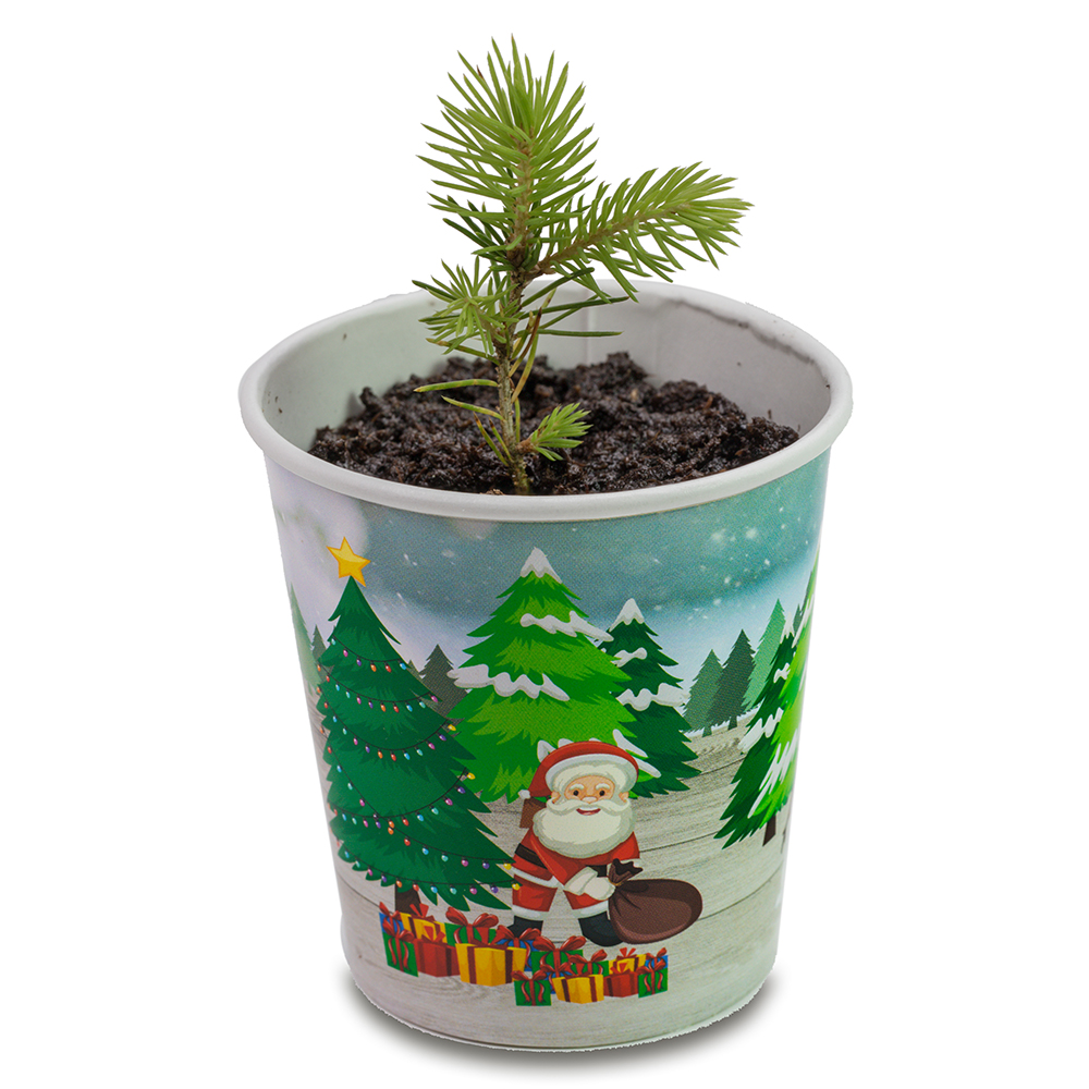 Weihnachtsbaum To-Go - neutral mit 1-c Logoeindruck