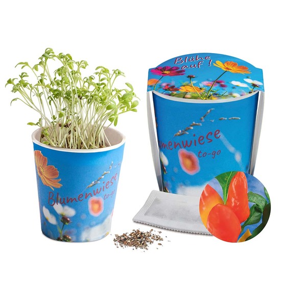 Blumenwiese To-Go - Ostern - Gewürzpaprika - neutral
