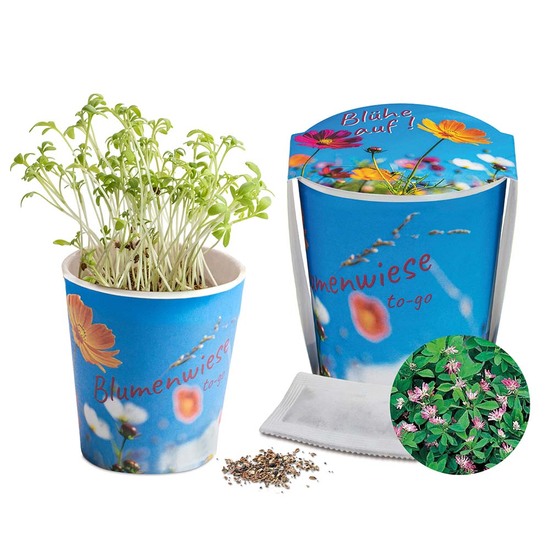 Blumenwiese To-Go - Ostern - Persischer Klee - neutral