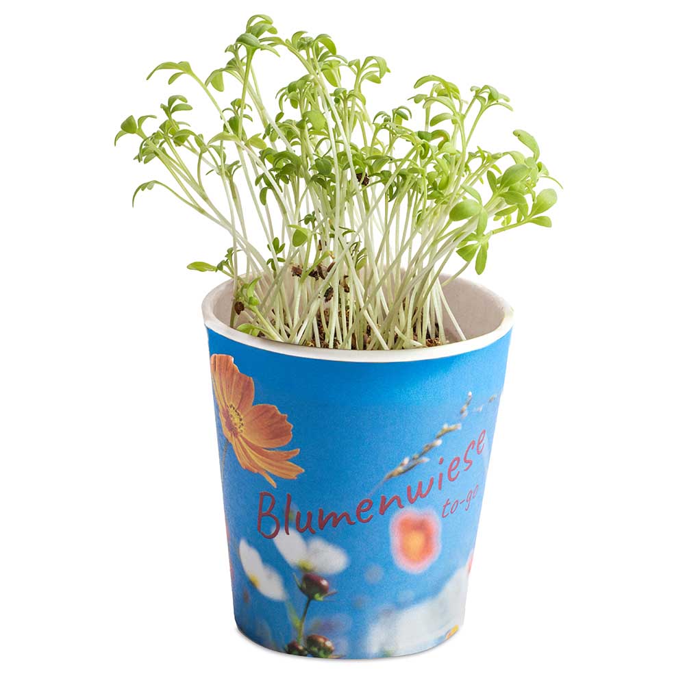 Blumenwiese To-Go - Ostern - Sonnenblume - neutral
