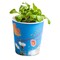 Blumenwiese To-Go - Ostern - Basilikum - neutral mit 1-c Logoeindruck