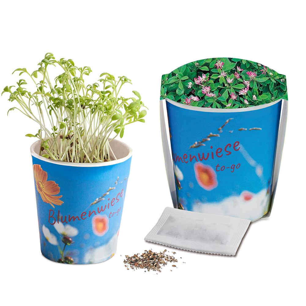 Blumenwiese To-Go - Ostern