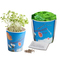 Blumenwiese To-Go - Ostern