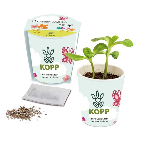 Blumenwiese To-Go - Ostern - Basilikum - Druck individuell 4/0-c