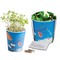 Blumenwiese To-Go - Ostern - Glücksklee-Zwiebel(* Je nach Verfügbarkeit der Glücksklee-Zwiebeln) - Druck individuell 4/0-c