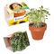 Logo-Töpfchen Komplettbanderole mit Samen
