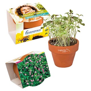 Logo-Töpfchen Komplettbanderole mit Samen - Persischer Klee