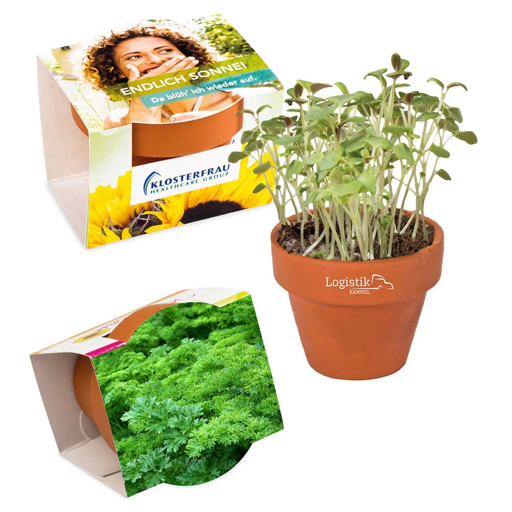 Logo-Töpfchen Komplettbanderole mit Samen - Petersilie