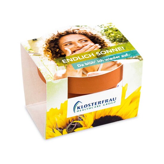 Logo-Töpfchen Komplettbanderole mit Samen - Sonnenblume