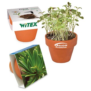 Logo-Töpfchen Banderole mit Samen - Fichte