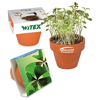 Logo-Töpfchen Banderole mit Samen - Glücksklee-Zwiebeln (* Je nach Verfügbarkeit der Glücksklee-Zwiebeln)