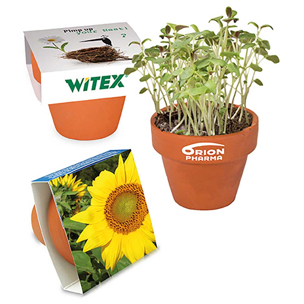 Logo-Töpfchen Banderole mit Samen - Sonnenblume