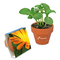 Logo-Topf mit Samen