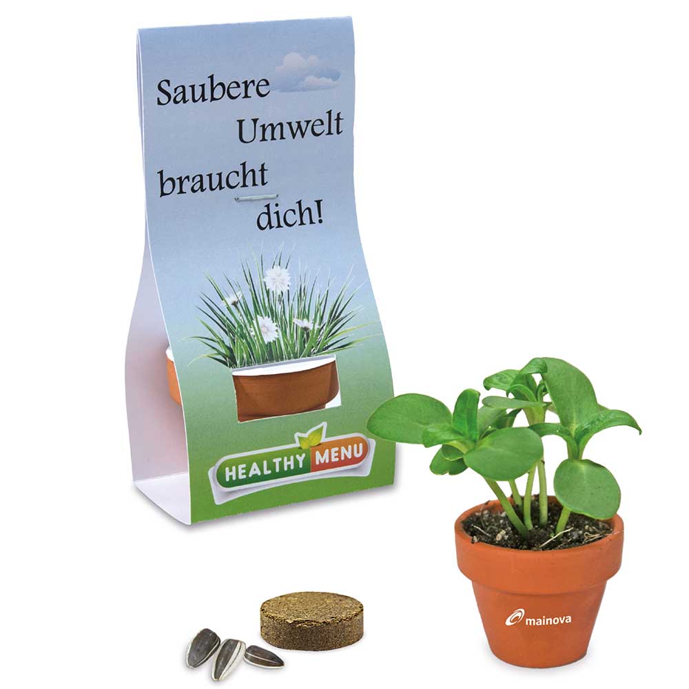 Logo-Töpfchen Überreichverpackung mit Samen - Glücksklee-Zwiebeln (* Je nach Verfügbarkeit der Glücksklee-Zwiebeln)