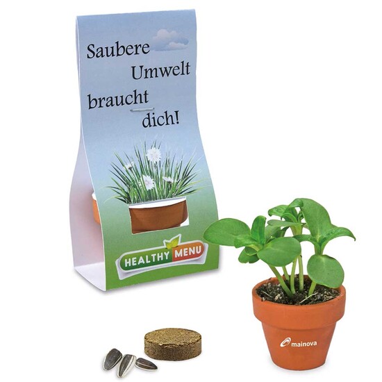 Logo-Töpfchen Überreichverpackung mit Samen - Glücksklee-Zwiebeln (* Je nach Verfügbarkeit der Glücksklee-Zwiebeln)