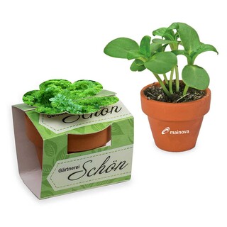 Tontöpfchen-Blume mit Samen - Petersilie inkl. Tampondruck