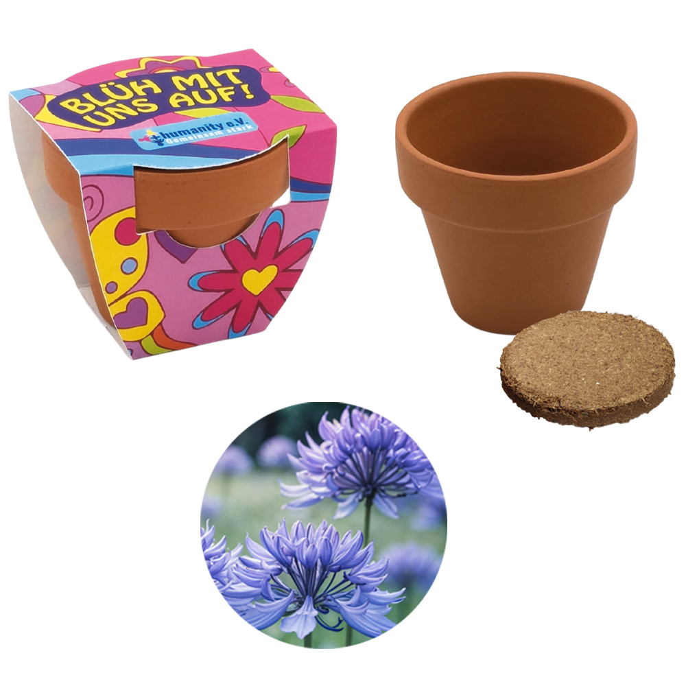 Terracotta Pflanztöpfchen