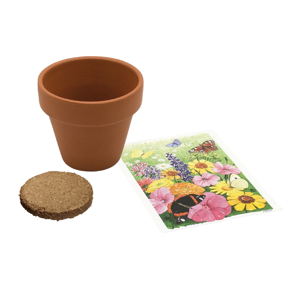 Terracotta Pflanztöpfchen