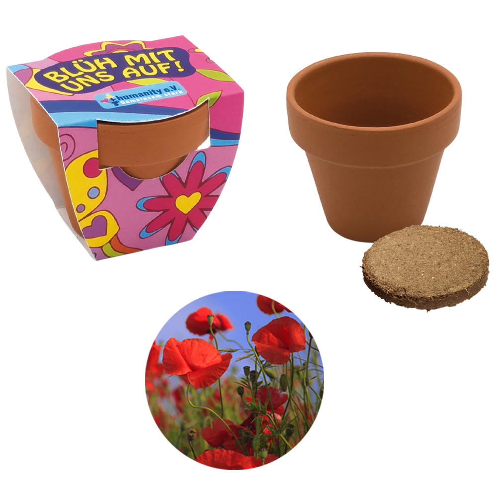 Terracotta Pflanztöpfchen