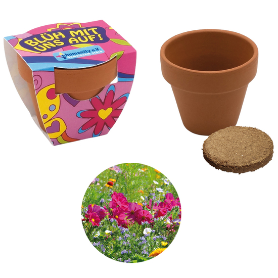 Terracotta Pflanztöpfchen