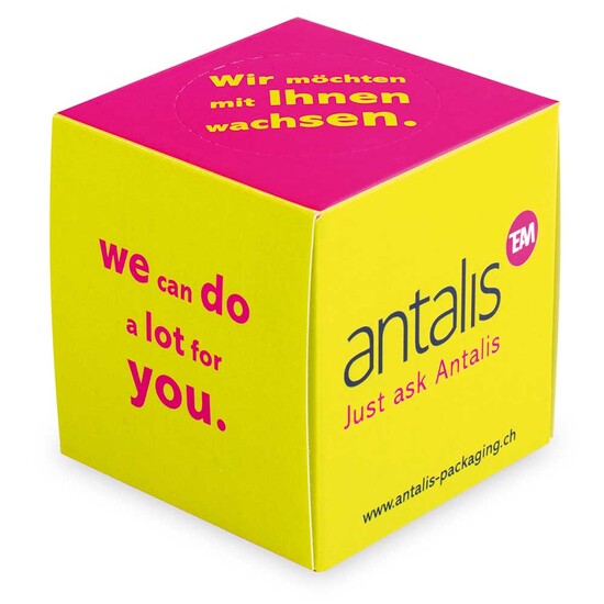 Pflanz-Würfel 2.0 mit Samen - Margerite