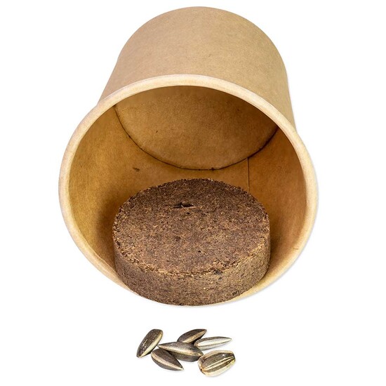 Pflanz-Würfel 2.0 mit Samen - Schnittlauch