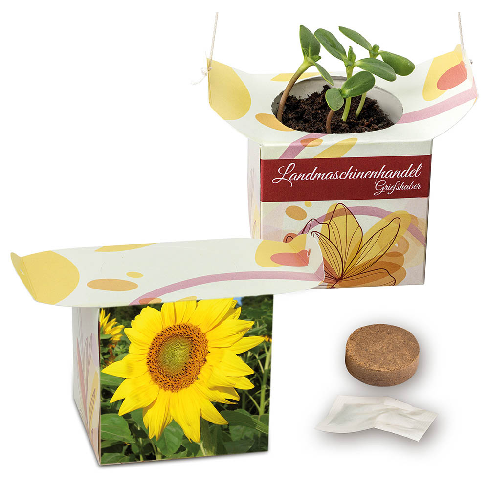 Blumenampel