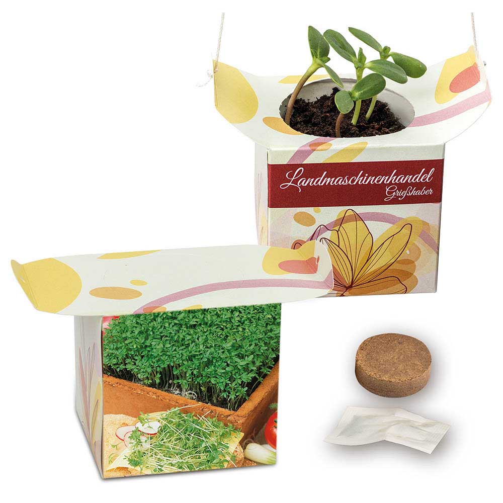 Blumenampel - Gartenkresse