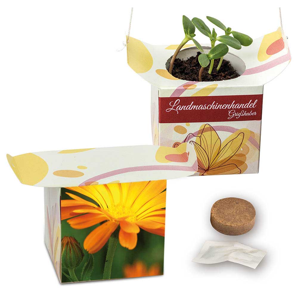 Blumenampel - Ringelblume