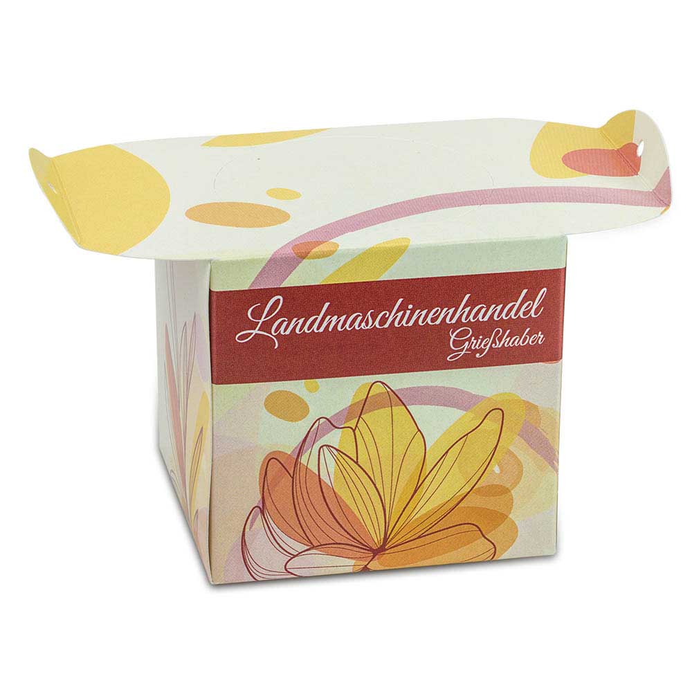 Blumenampel - Sommerblumenmischung