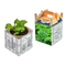 Colour & Grow House - Ostern