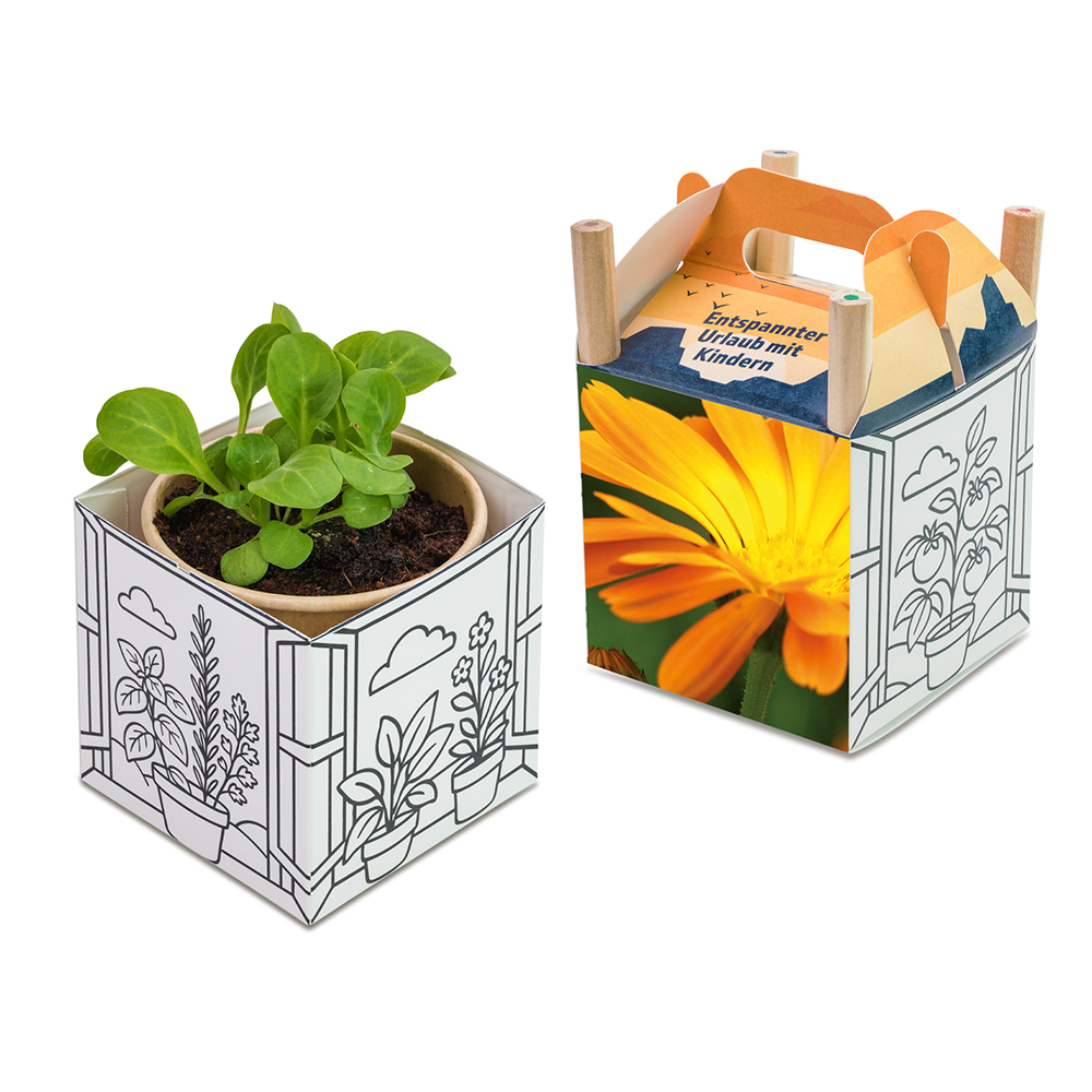 Colour & Grow House - Ostern