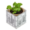 Colour & Grow House - Ostern