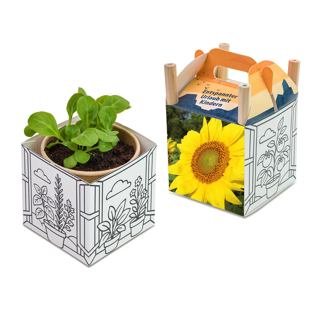 Colour & Grow House - Ostern