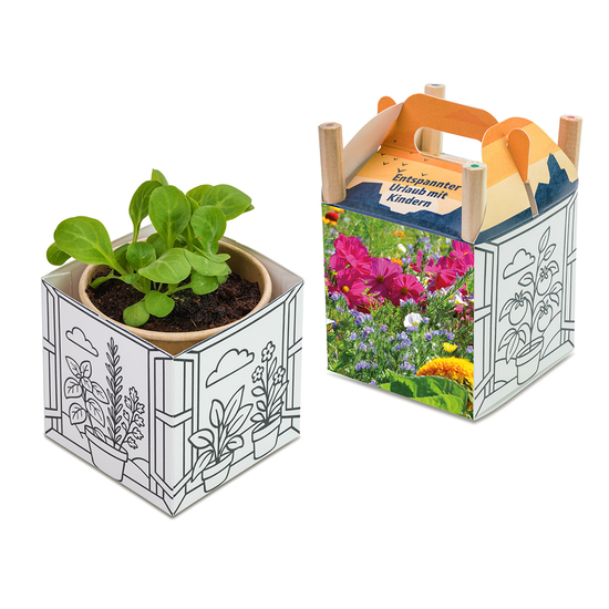 Colour & Grow House - Ostern