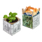 Colour & Grow House - Ostern
