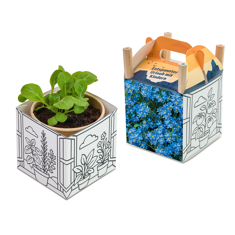 Colour & Grow House - Ostern