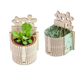 My Tiny Garden Blümchen - Thymian