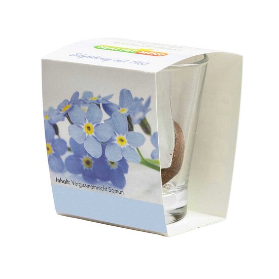 Caffeino-Glas mit Samen - Persischer Klee