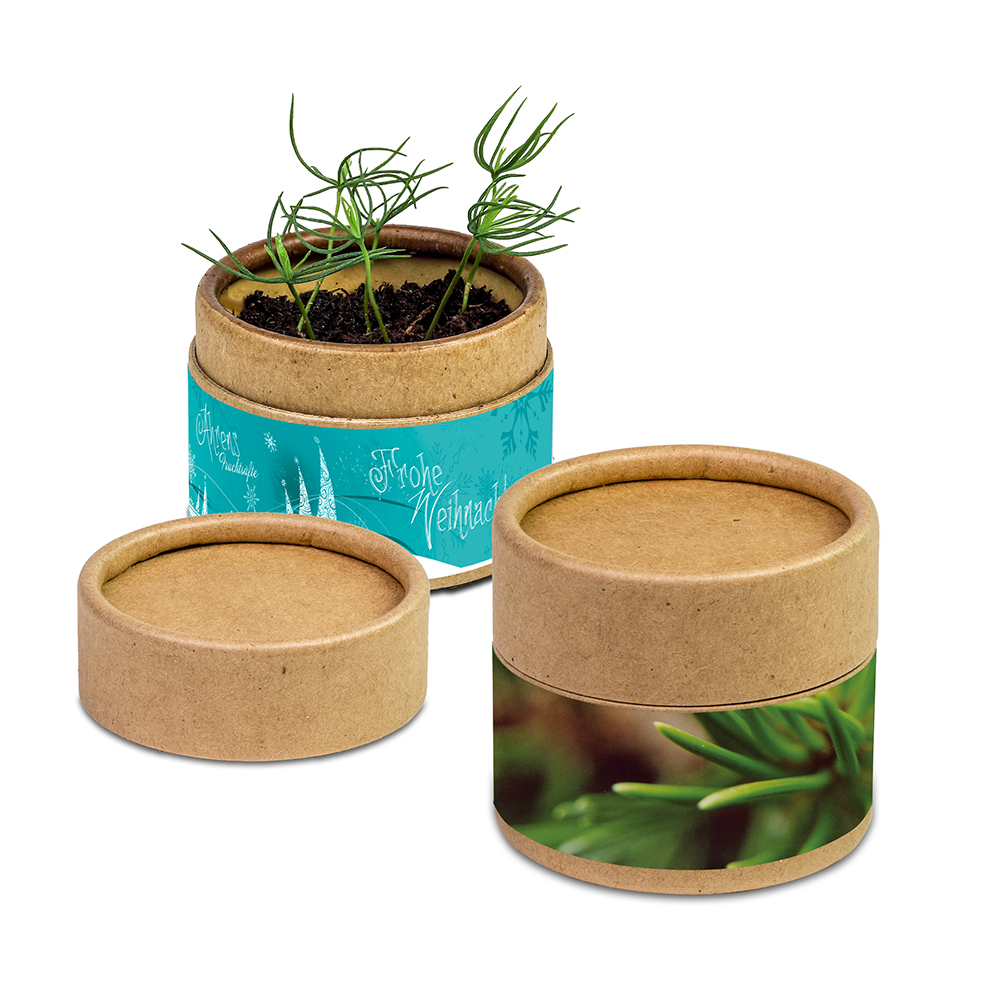Pflanz-Cup mit Samen