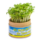 Pflanz-Cup mit Samen