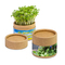 Pflanz-Cup mit Samen