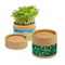 Pflanz-Cup mit Samen