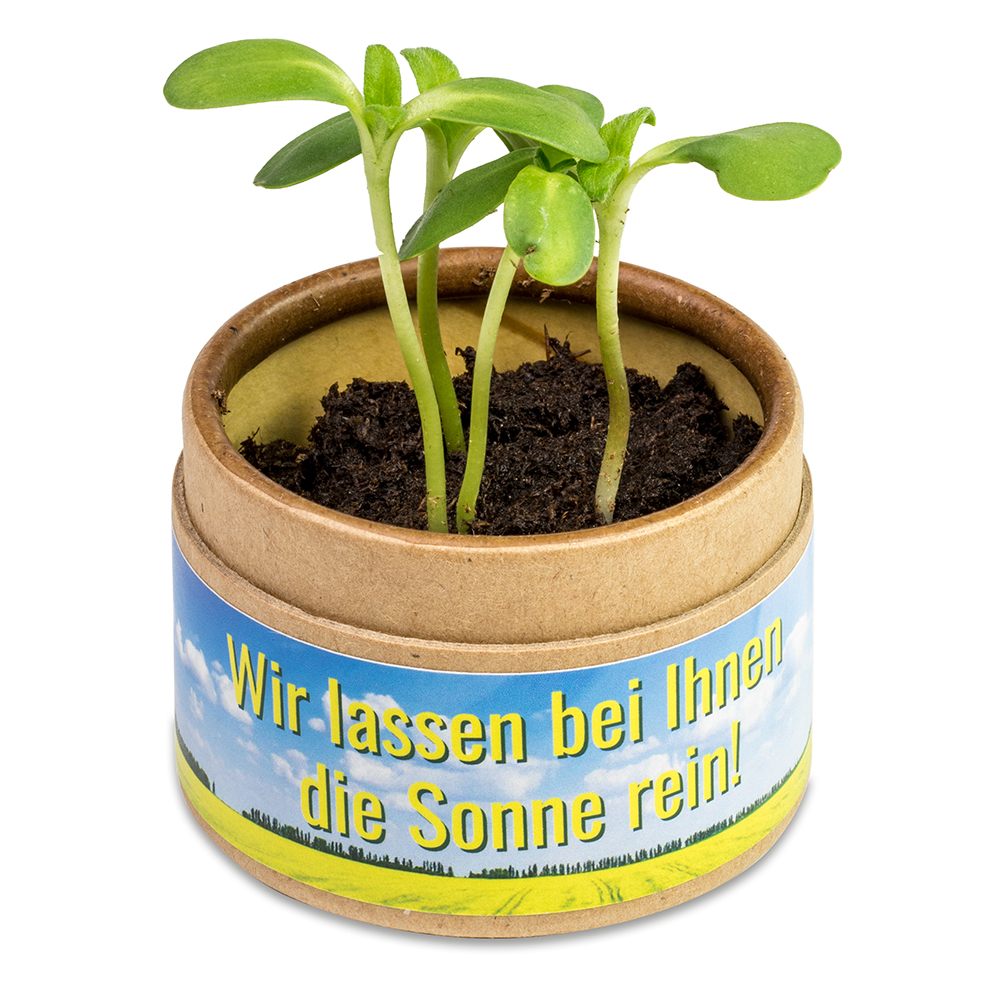 Pflanz-Cup mit Samen