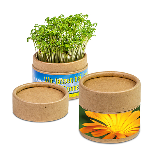 Pflanz-Cup mit Samen