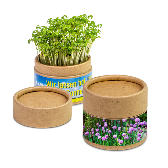 Pflanz-Cup mit Samen