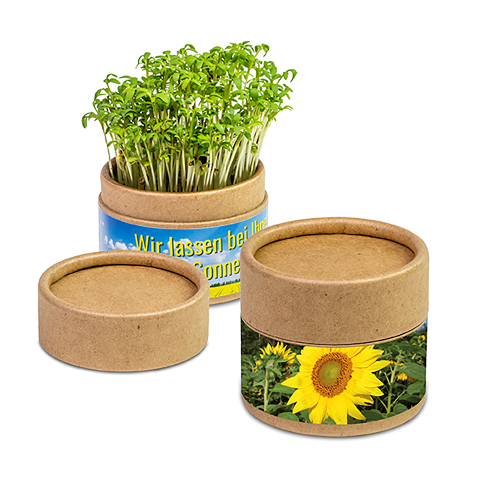 Pflanz-Cup mit Samen