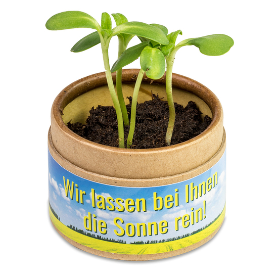 Pflanz-Cup mit Samen