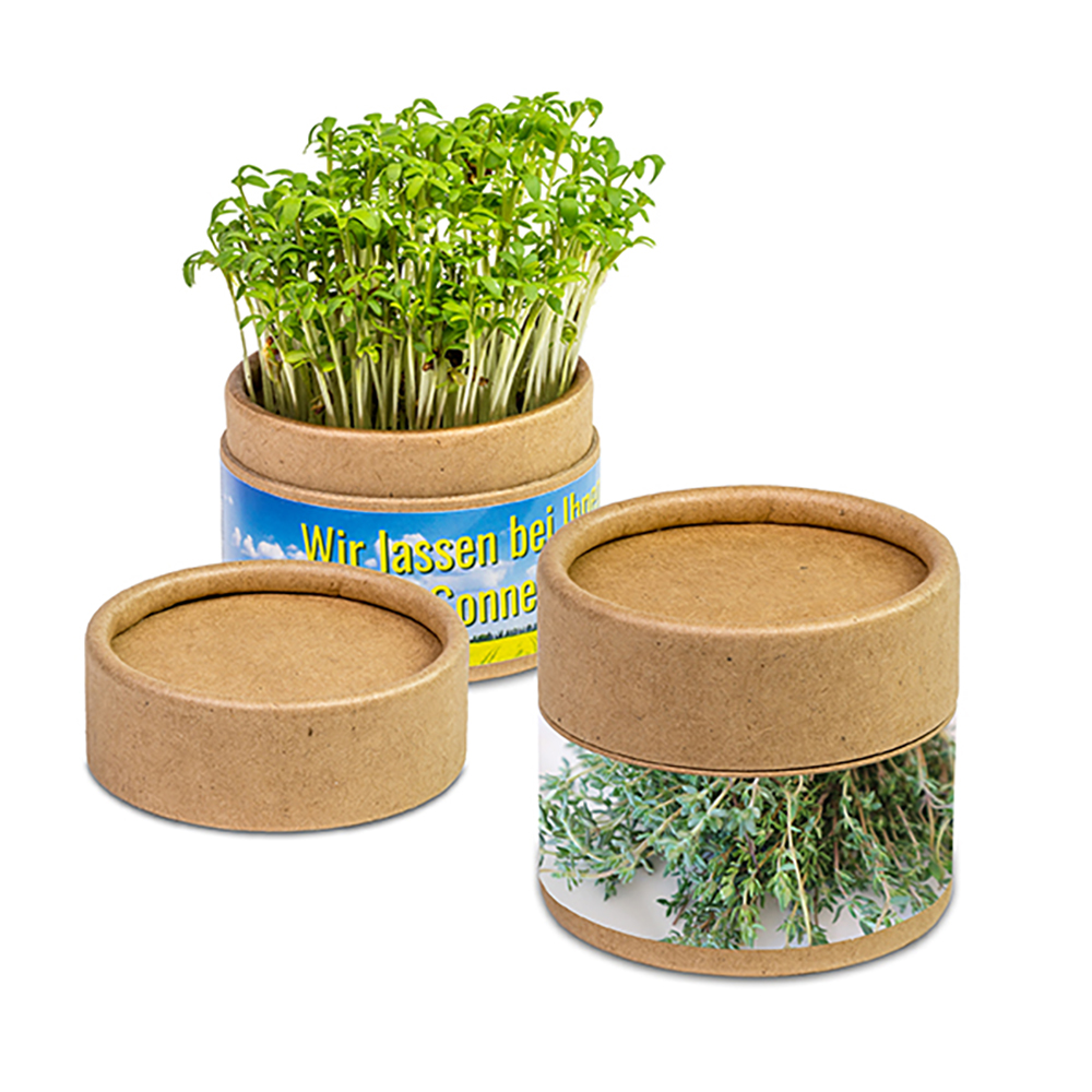 Pflanz-Cup mit Samen
